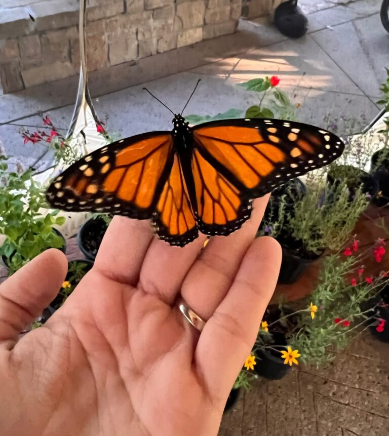 FB_IMG_1757827858828