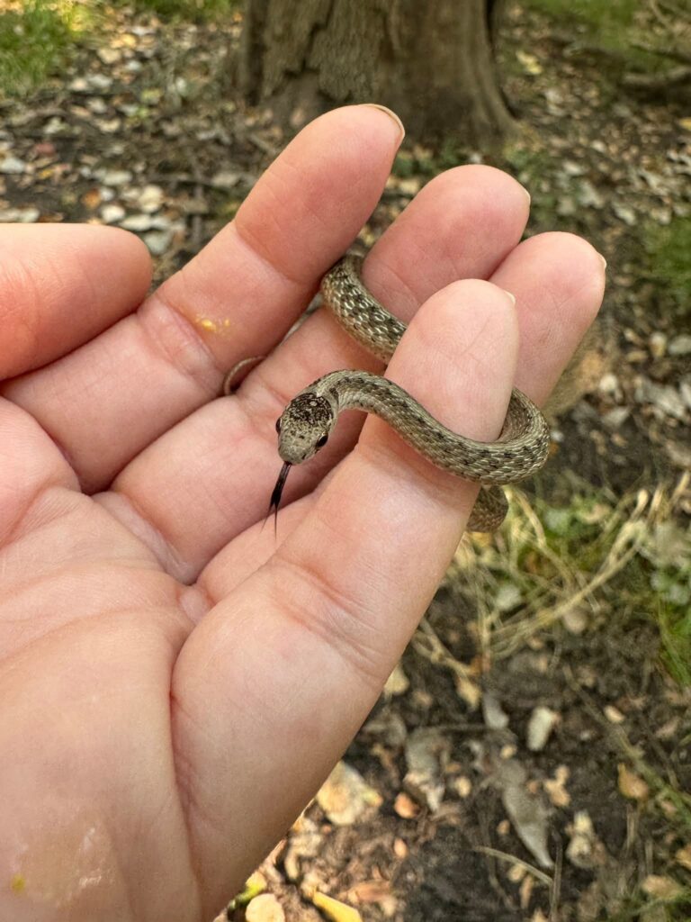 FB_IMG_1758430407955