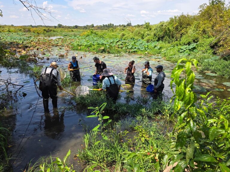 FB_IMG_1758430450442