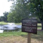 Orchard Park Pond
