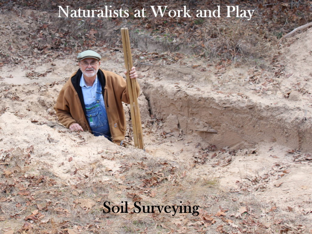 2013_ElCaminoReal_soil surveying