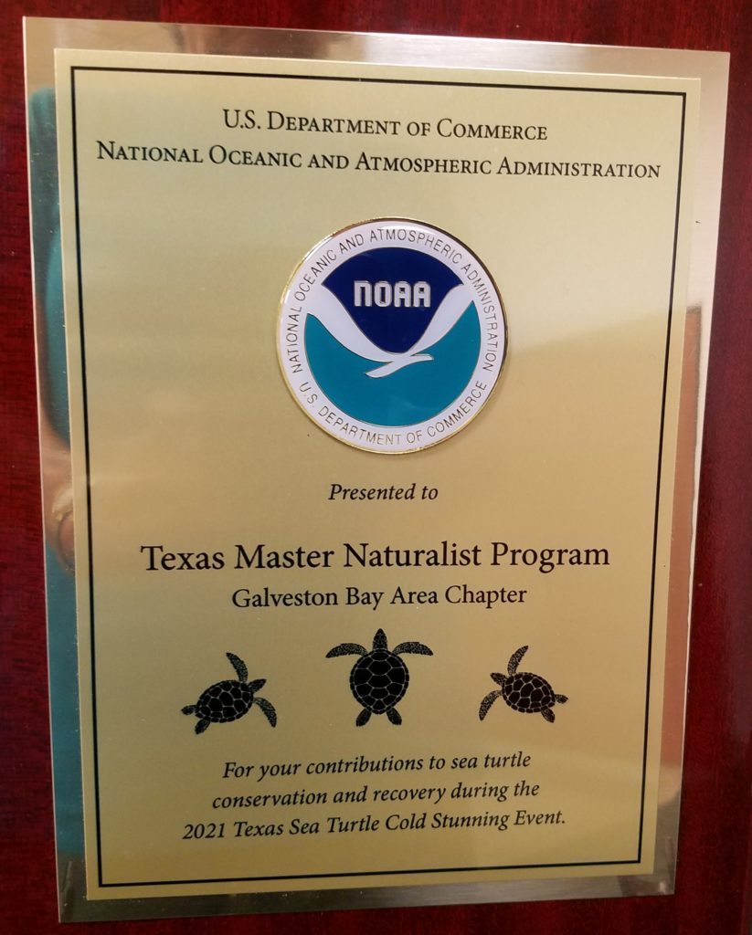 Photo of the 2021 NOAA award