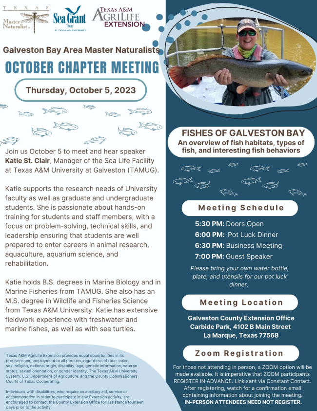 chapter meeting flyer