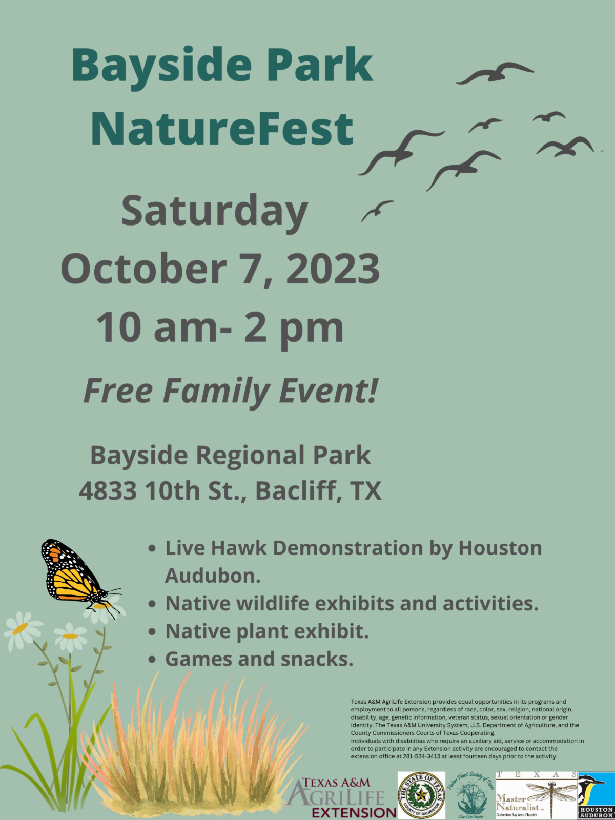 Flyer for Bayside Naturefest