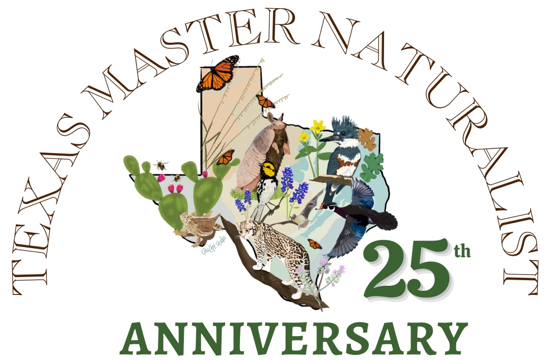 Galveston Bay Area Chapter – Galveston Bay Area Master Naturalist Chapter