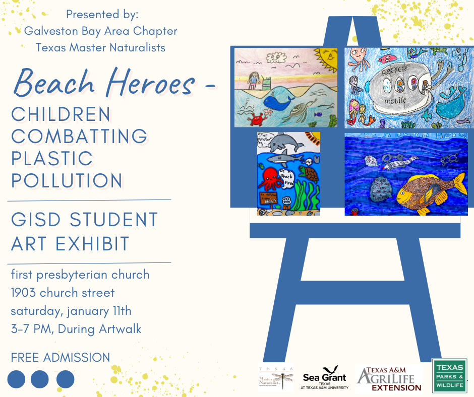Beach Hero flyer