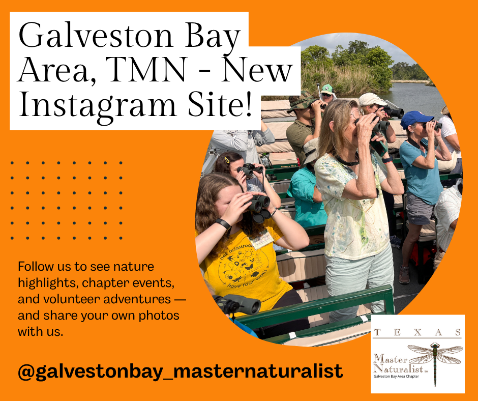 flyer regarding GBAC instagram page