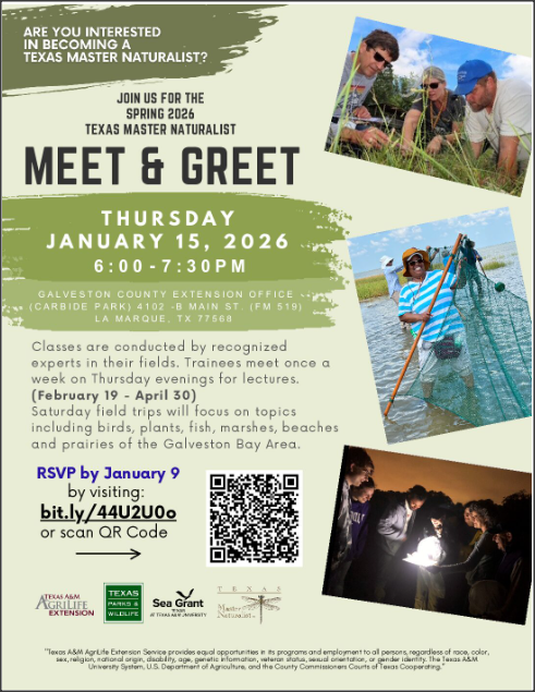 Meet and Greet Flyer