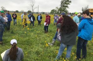 Students identifying native plants.