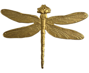 Dragonfly pin