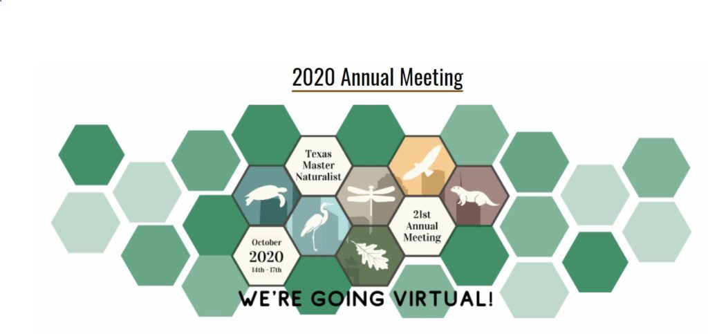 annual meeting logo