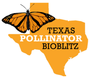 Logo for Texas Bioblitz