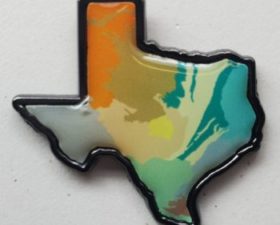 Texas Ecoregions pin
