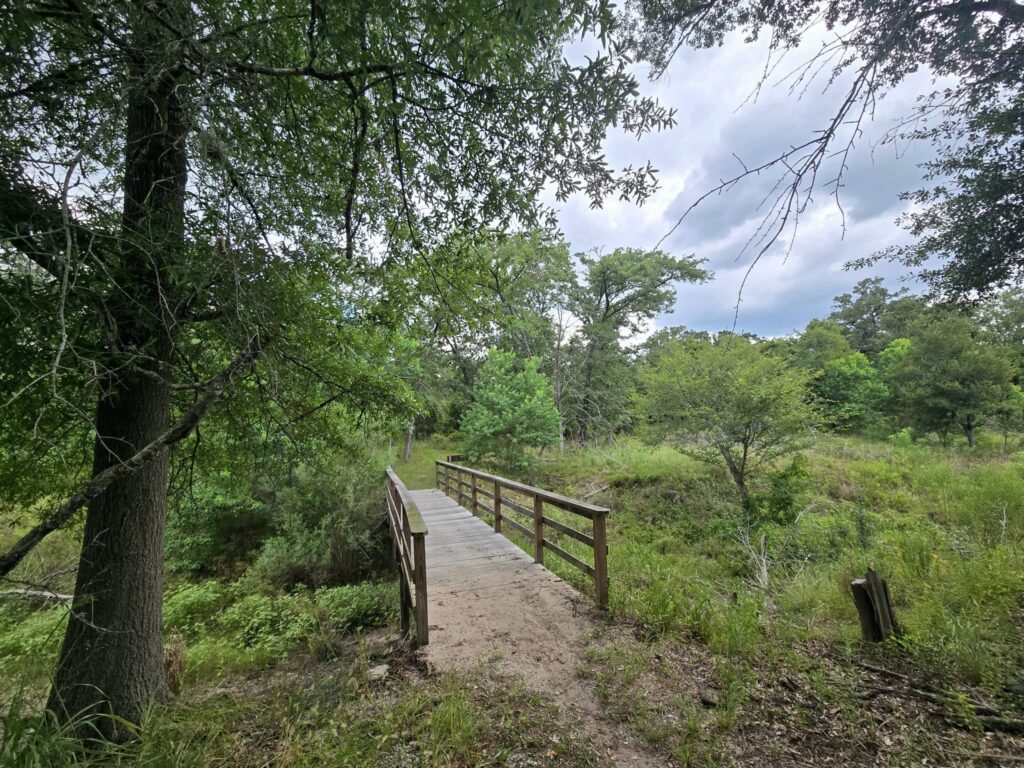 Trail at Lake Somerville