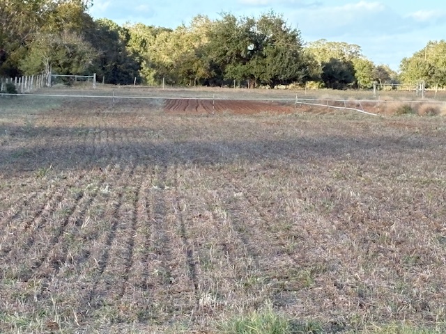 Photo by David Hessel