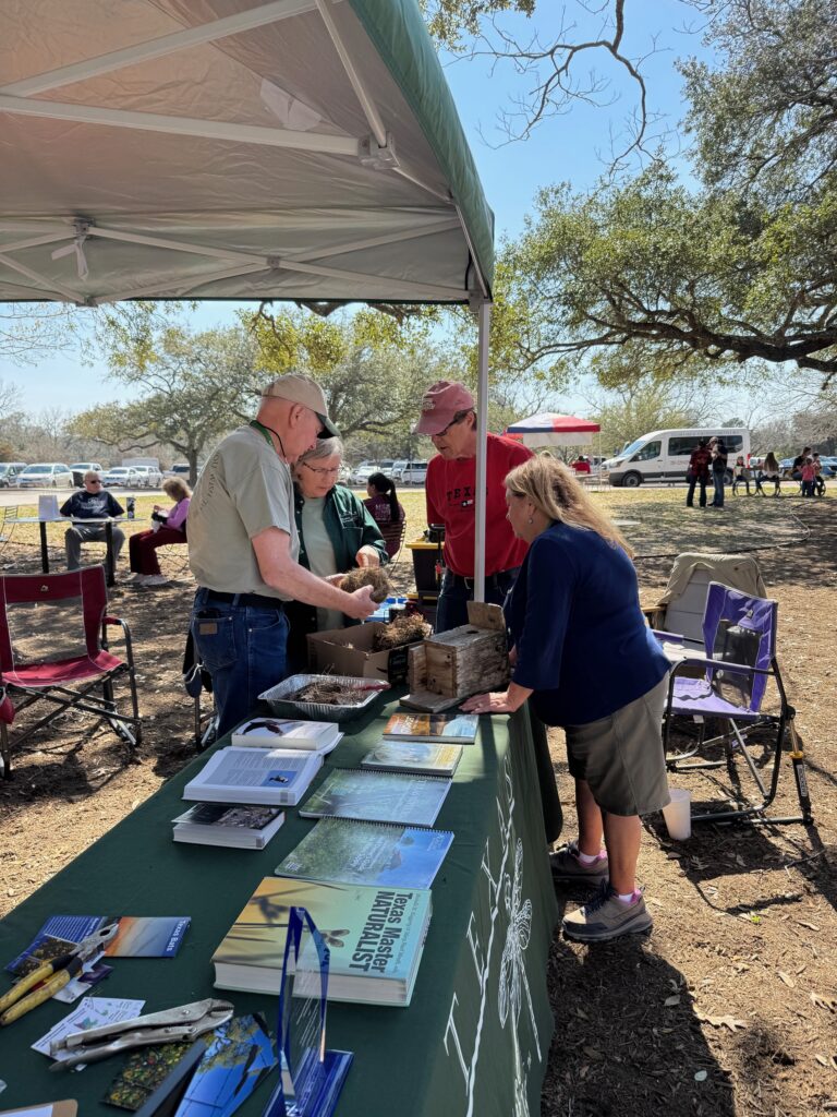 2026: GLC members educate the4 public at a booth at the Texas Independence Celebration. Photo by Julie Itz.