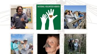 Photo grid for National Volunteer Month - April