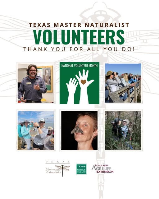 Photo grid for National Volunteer Month - April
