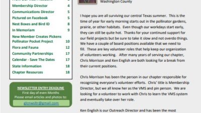 Image of the first page of the newsletter