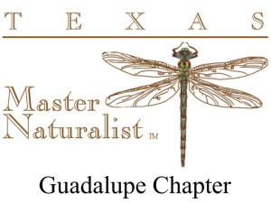 Guadalupe Chapter Logo