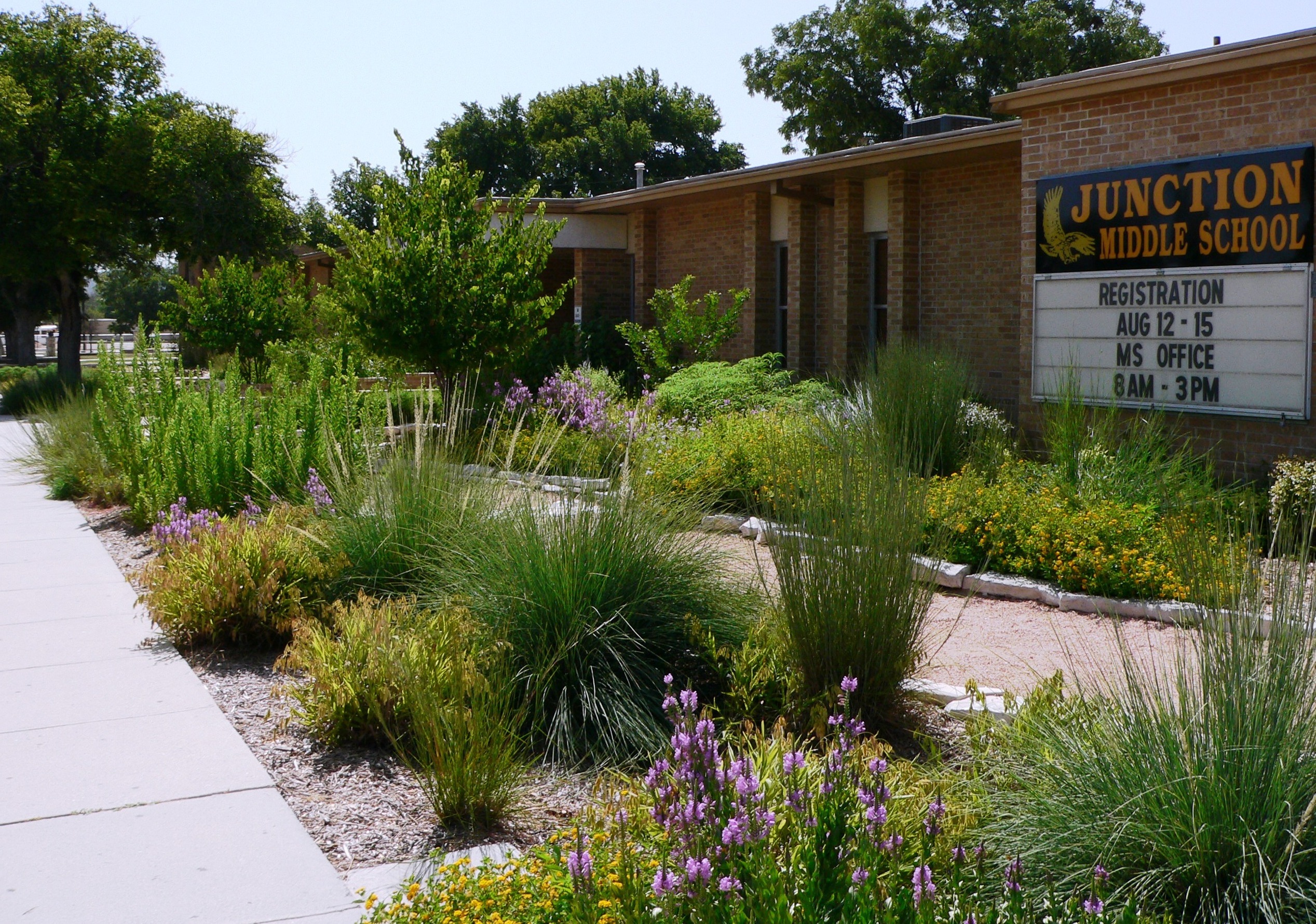 Pollinator Garden Assistance And, Native Texas Plants Landscaping Region By Country