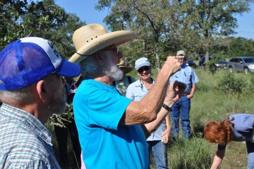 Jim Stanley identifies grasses at KWMA