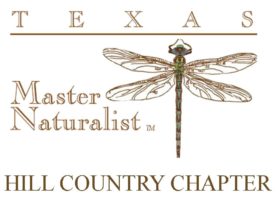 chapter logo