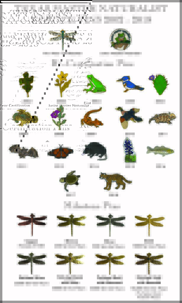 poster showing pins