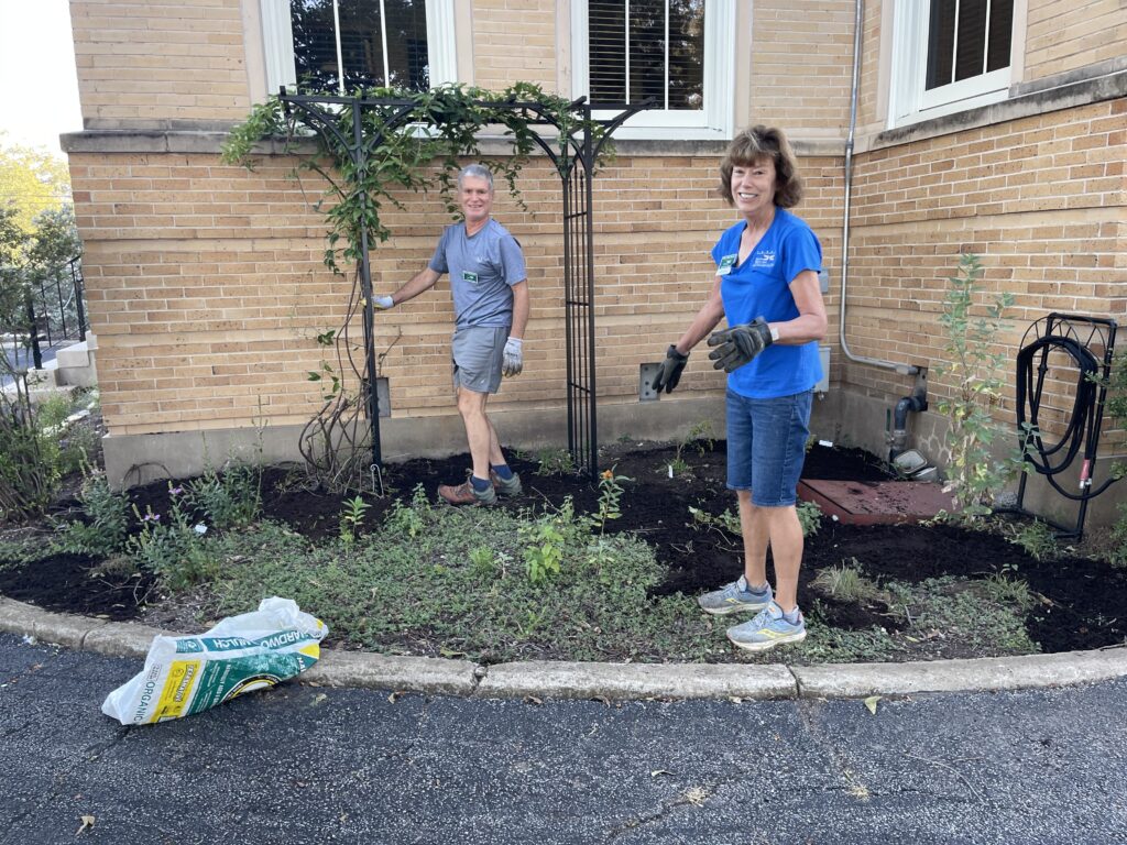 Two women installing an arch and planting plants