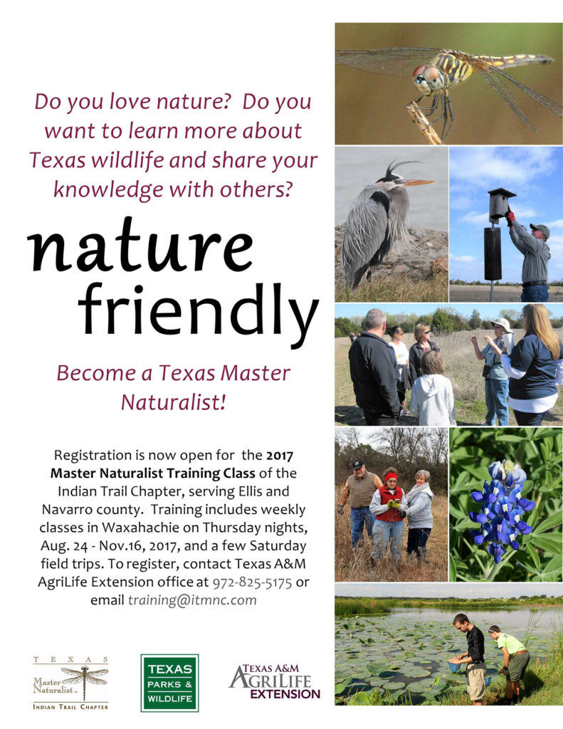 Become a Master Naturalist