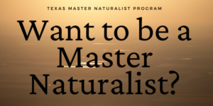 Want to be a Master Naturalist?