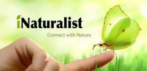 iNaturalist Project