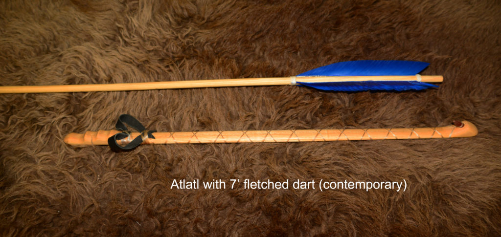 Picture of contemporary fletched dart with atlatl from Sibley Nature Center collection.