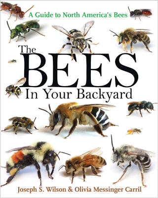 The Bees in Your Backyard Book cover