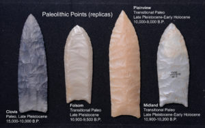 Replicas of paleolithic points from Sibley Nature Center collection.