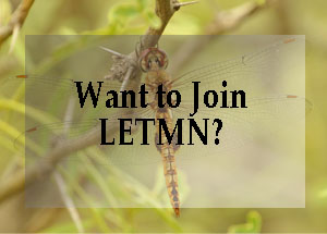 Want to join LETMN Link