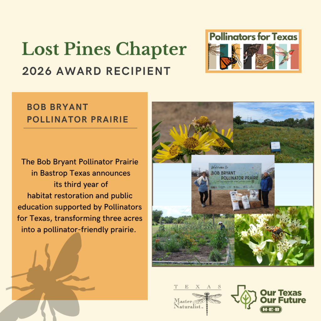 2026 Pollinators for Texas Grant Recipient