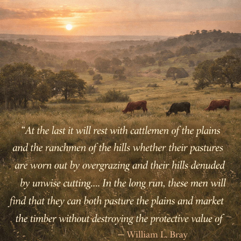 "At the last it will rest with cattlemen of the plains and the ranchmen of the hills whether their pastures are worn out by overgrazing and their hills denuded by unwise cutting.... In the long run, these men will find that they can both pasture the plains and market the timber without destroying the protective value of" William L Bray