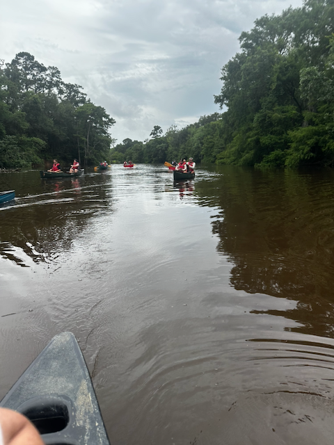 A group of canoes traveling together on Pine Island Bayou under an overcast sky.