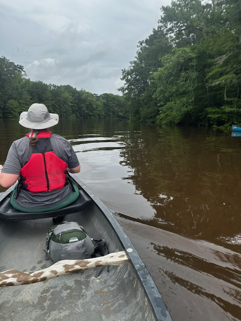 View from inside a canoe looking over a paddler toward Pine Island Bayou.