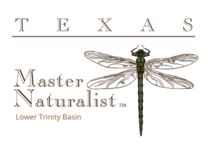 TXMN with Lower Trinity Basin