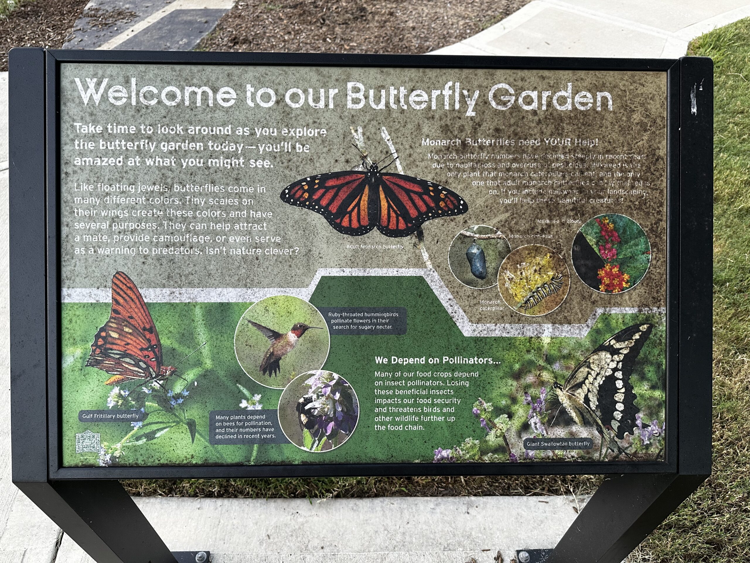 Butterfly garden interpretive sign before planting