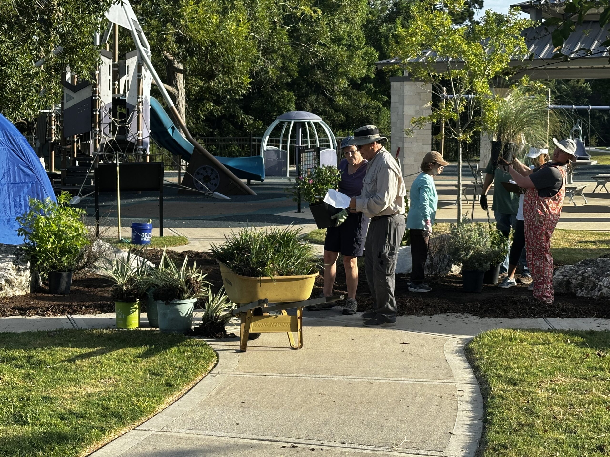 Volunteers working together in the garden beds