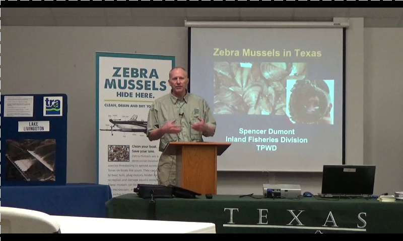 zebra-mussel-presentation