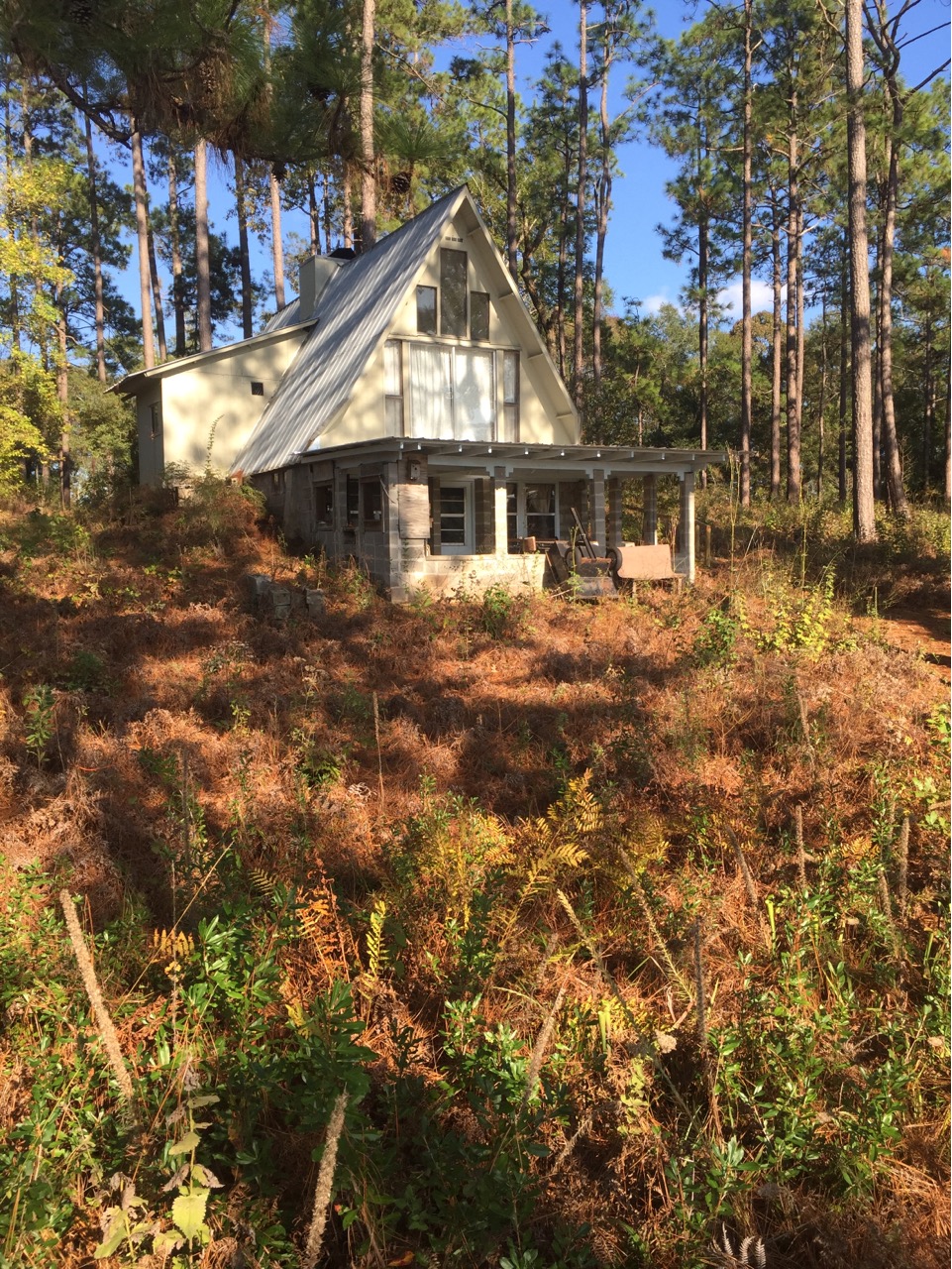 Cabin built by Geraldine Watson