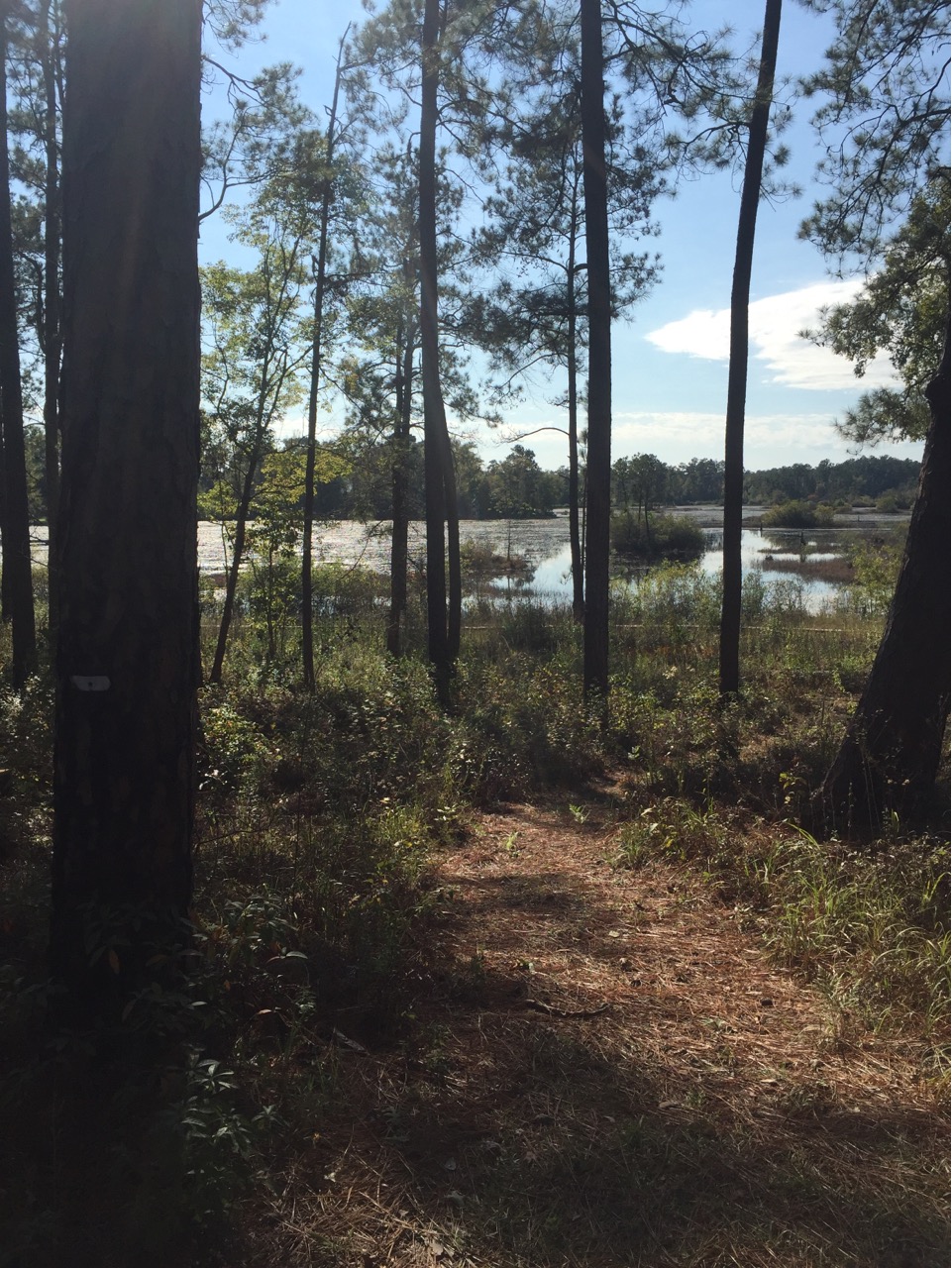 View of Hyatt Lake