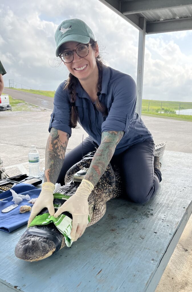 Dr. Sara Wyckoff, Wildlife Veterinarian