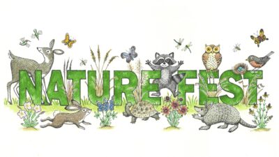 Color_Nature Fest Illustration_PC