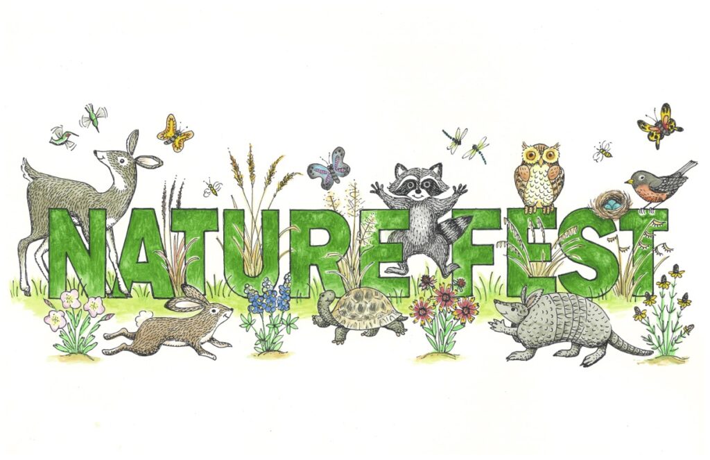 Current image: Color_Nature Fest Illustration_PC