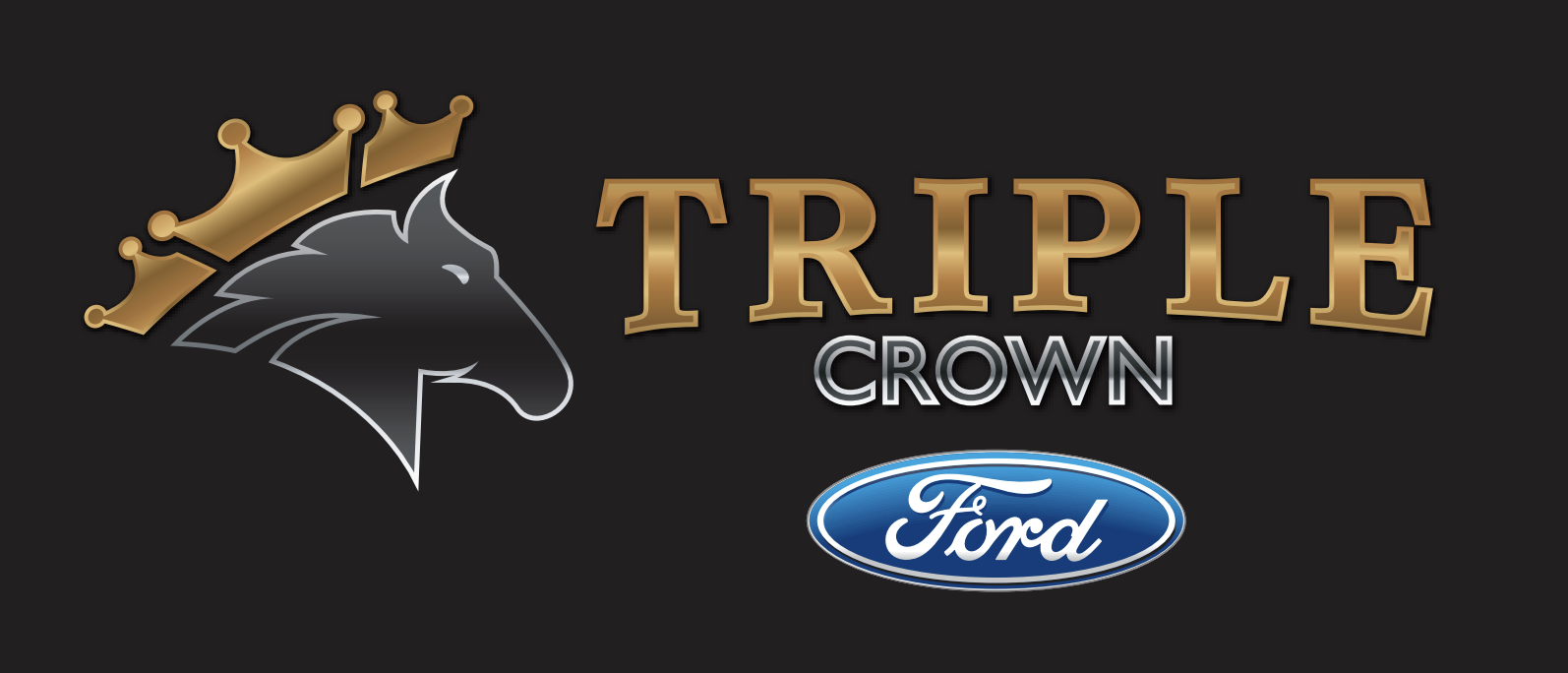 Image of graphic made to promote the chapter project fair